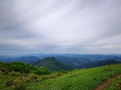 -白草畔自然风景区