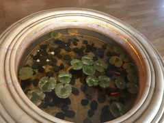 -昆明柏联SPA温泉