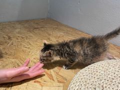 -颐玖 咖啡|甜品