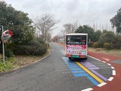 -上海长兴岛郊野公园