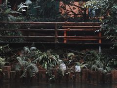 -海南槟榔谷黎苗文化旅游区