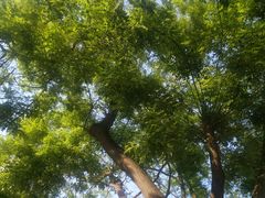 -廊坊文化艺术中心