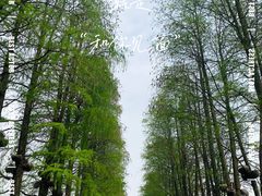 -东湖生态旅游风景区
