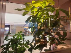 -新发现(宝山龙湖店)