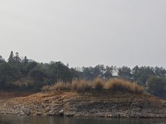 -千岛湖城中湖游船码头