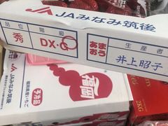 -油麻地果栏
