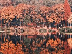 -重庆彩云湖湿地公园