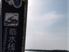 -丁香湖公园