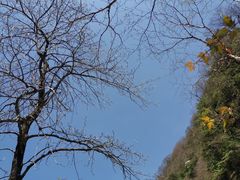 -青峰峡国家森林公园