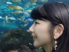 -瑞普利水族馆