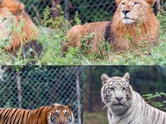 -乐和乐都主题乐园