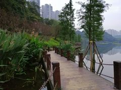 -重庆彩云湖湿地公园