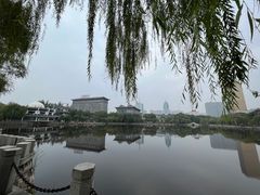 -文瀛公园