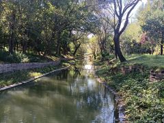 -北坞公园