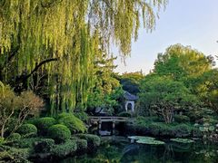 -秋霞圃