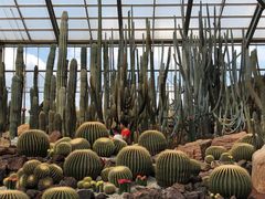 -南通洲际绿博园