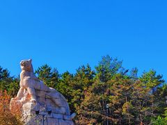 -帽儿山国家森林公园