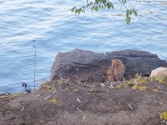 -颐和园-景明楼