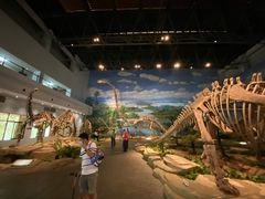 -自贡恐龙博物馆