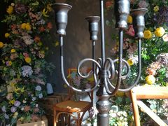 -IFIF 如果花園(宽厚里店)