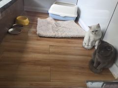 -惠康宠物医院(华能路店)