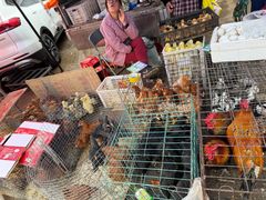 -李村大集
