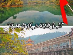 -鼎湖山风景区