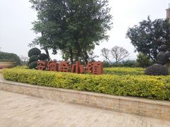 -爱丽丝仙境花海