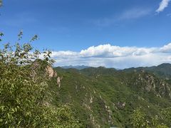 -大岭沟猕猴桃谷风景区