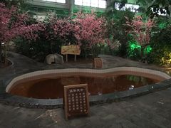-御龙温泉度假村