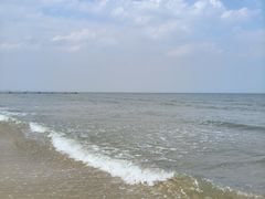 -日照海滨国家森林公园