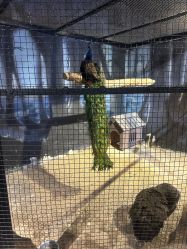 -酷嗒动物文化乐园(cutezoo西溪乐天城店)