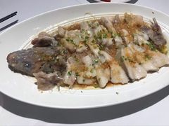 东坡江团鱼-眉州东坡(通州店)