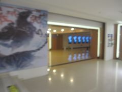 -幸福蓝海国际影城(河西店)