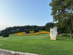 -棒棰岛宾馆景区