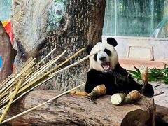 -海南热带野生动植物园