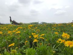 -光明小镇欢乐田园