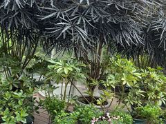 -恬阿姨庭院餐厅·生日宴