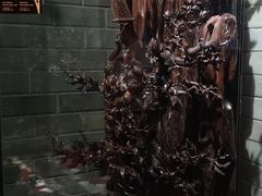 -乐山乌木文化博览苑