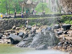 -雁荡山大龙湫景区