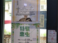 -严国平动物医院(德政总院)