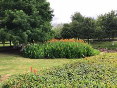 -白塘生态植物园