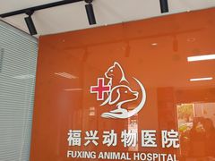 -瑞派福兴宠物医院犬猫全科·骨科·中西医结合(河东店)