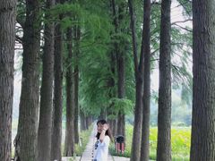 -陶辛水韵