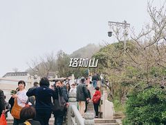-珞珈山-售票处