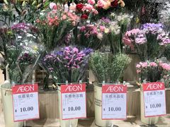 -AEON永旺(东方宝泰店)