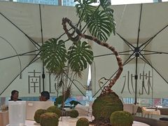 -枕水江南(铁西万象汇店)