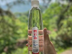 -波尔登森林公园