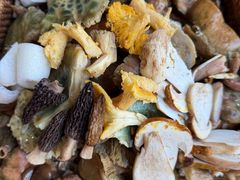 -山菌美食苑(振兴路店)