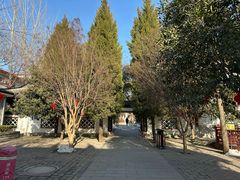 -龙口南山旅游景区